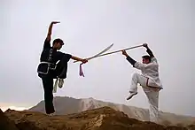 Image 25Kung fu in Iran (from Chinese martial arts)