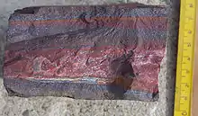 Image 54A banded iron formation from the 3.15 Ga Moodies Group, Barberton Greenstone Belt, South Africa. Red layers represent the times when oxygen was available; gray layers were formed in anoxic circumstances. (from History of Earth)