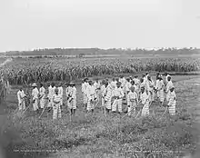 Image 16Juvenile African-American convicts working in the fields in a chain gang, photo taken c. 1903 (from Civil rights movement (1896–1954))