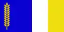 Flag of Dzhidinsky District