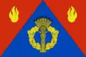Flag of Frolovsky District
