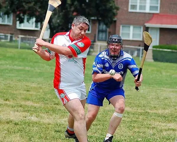 Image 42Hurling