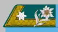 Cadet Warrant Officer (Kadettoffiziersstellvertreter) to 1908