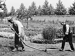 Image 8A frame from the Lumière brothers staged comedy film, L'Arroseur Arrosé (1895) (from History of film)