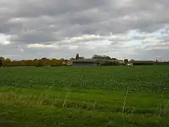 A green picture.  Grassy field margins in the immediate foreground, and behind a vigorously-leafed field of beet, a slightly darker green.  On the horizon is  a cluster of modern barns, and a modern farmhouse with an older building on the left.  Above them all is a sky mostly dark with cumulus clouds, with the palest patch of blue above our heads.