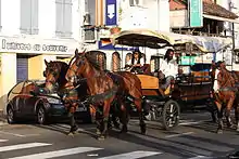 Image 20A carriage on a street in Martinique, one of the Caribbean islands that has not become independent. It is an overseas region of France, and its citizens are full French citizens. (from History of the Caribbean)