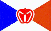 The flag of NAVA Meeting 17, hosted in New York City. NAVA meeting flags often incorporate elements to reflect the host city.