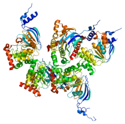Cystic fibrosis transmembrane conductance regulatory (CFTR) protein.
