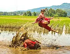 Image 54A demonstration of Pencak Silat, a form of martial arts. (from Culture of Indonesia)