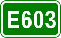 E603 shield