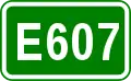 E607 shield