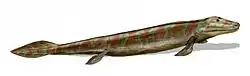 Image 65Tiktaalik, a fish with limb-like fins and a predecessor of tetrapods. Reconstruction from fossils about 375 million years old. (from History of Earth)
