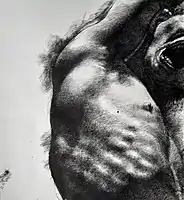 Torso I. pen drawing 29 x 42 cm, 1999