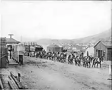 Image 49A burro-drawn wagon hauling lumber and supplies into Goldfield, Nevada, ca.1904. In 1903 only 36 people lived in the new town. By 1908 Goldfield was Nevada's largest city, with over 25,000 inhabitants. (from History of Nevada)