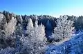Image 16Winter in the countryside of Lithuania