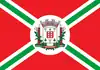 Flag of Major Vieira
