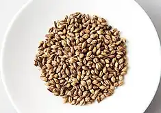 Hulless grains