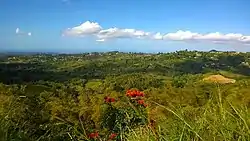 View from Palos Blancos