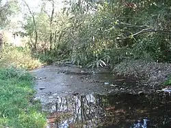 Bilca Mare