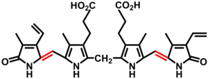 Bilirubin