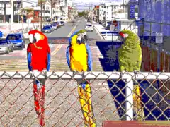 EGA 640 × 350 × 16 colors, EGA palette.
