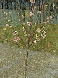 Almond Tree in Bloom, 1888Van Gogh Museum, Amsterdam (F557)