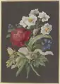 Blumengebinde mit roter Ranunkel (Ranunculus), weißer Tazette (Narcissus tazetta) und blauer Blume (?) mit Postillon