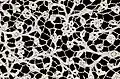 Bobbin Lace (Bride Ground) Border 504.1915.c (detail)