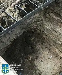 A dug out hole with stone walls, iron ladder ladder and tree branches laid over it.