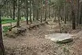 Image 56Pineferous forest of the sandy Bagshot Formation spanning parts of four boroughs towards the north-west and in the far west of the county, with defensive positions for historic army training near Deepcut and Pirbright (from Portal:Surrey/Selected pictures)