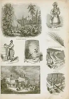 Image 17An illustration of brewing and distilling industry methods in England, 1858 (from Liquor)