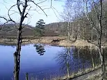 The Brunssumerheide