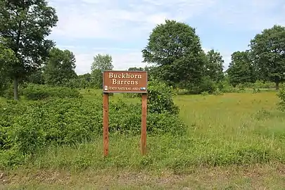 Buckhorn Barrens, a State Natural Area