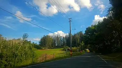 PR-806 south between Toa Alta and Corozal