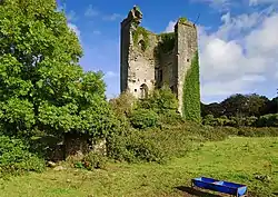 Ruins of Kilkishen Castle, about 2 km south west of the village.