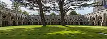 The cloisters