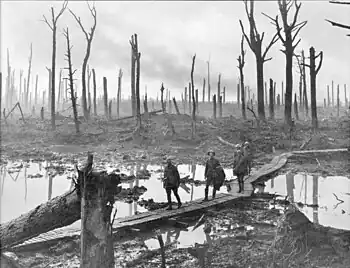 Image 33Australian soldiers in Chateau Wood, near Hooge, in the Ypres Salient, 29 October, 1917. Photo credit: Frank Hurley.