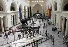 Image 28The main hall of the Field Museum of Natural History in 2007, with Sue the T. rex in the foreground (from Culture of Chicago)