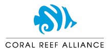 2013 logo