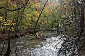 Craig Creek, on border of Brush Mountain Wilderness, near Va 635