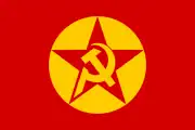The flag of the Revolutionary People's Liberation Party–Front (Turkey)