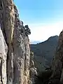 Image 4 El Chorro, Spain (from Portal:Climbing/Popular climbing areas)