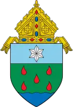 Diocese of Borongan