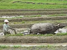 Image 13Agriculture preceded writing in the history of technology. (from History of technology)