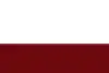 Flag of Choachí