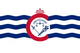 Flag of {{{official_name}}}