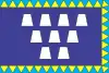 Flag of Drohobych
