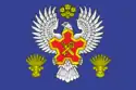 Flag of Gorodishchensky District, Volgograd Oblast