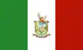 Flag of San Miguel