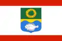 Flag of Zelenogradsky District